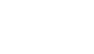 Purple Bunny Digital Marketing Agency in Brisbane Queensland servicing Ipswich, Logan, Gold Coast, Sunshine Coast